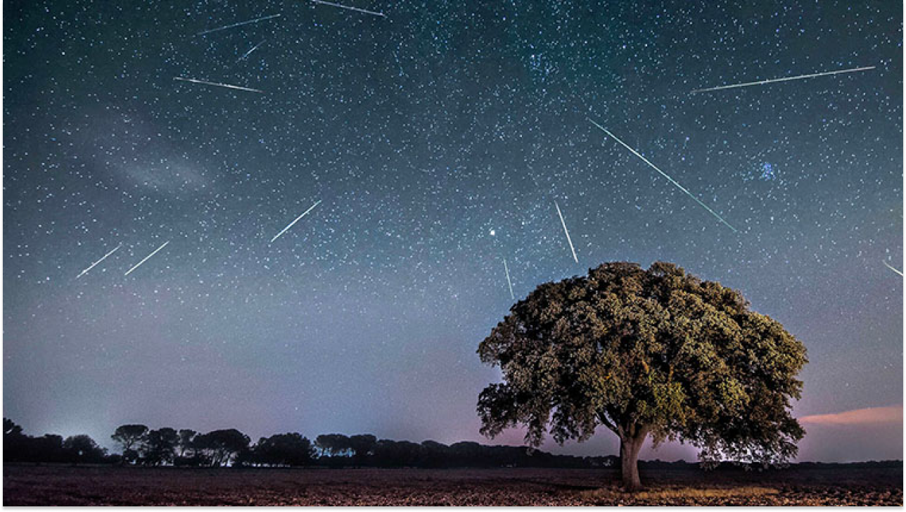 Cet été, vous allez avoir des étoiles dans les yeux